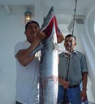Galveston Fishing Charters Enormous Catch!