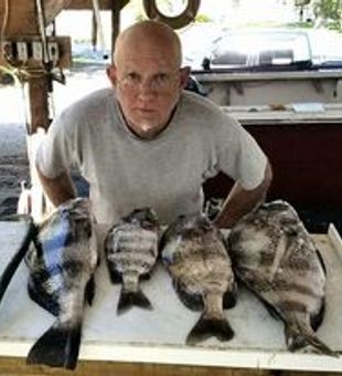 Sheepshead Haul at Galveston Fishing Charters