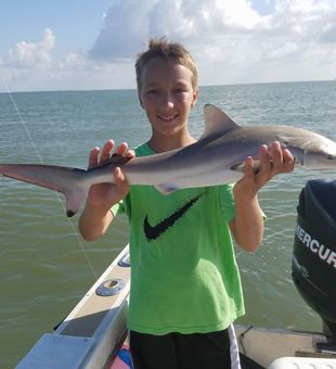 Young angler's sharp shark catch on bright day.