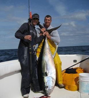 Giant yellowfin tuna catch.