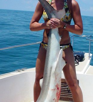 Shark time! - Galveston, TX.