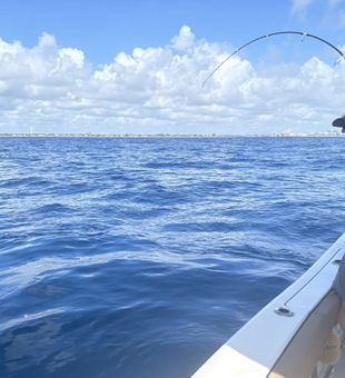 Calm waters, good lines, West Palm Beach kind of day.