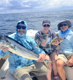 Mahi Mahi and White Grunt caught in West Palm Beach!