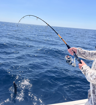 Bent rod action on the blue waters of West Palm Beach!