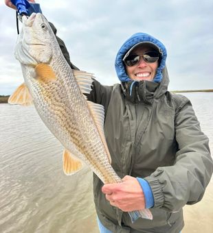 Amazing Red Drum on display! Only in Matagorda!