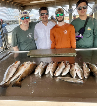 Blasted today with redfish and speckled trout using light tackle and jigging techniques!