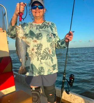 Nice speckled trout from Matagorda TX waters!