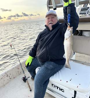 Hooked a sleek Spotted Weakfish in stormy Matagorda waters!