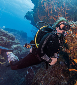 Wreck diving Lauderdale by the Sea reef