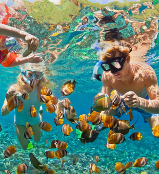 Best snorkeling Lauderdale by the Sea FL