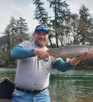 Rainbow trout action on Oregon rivers.