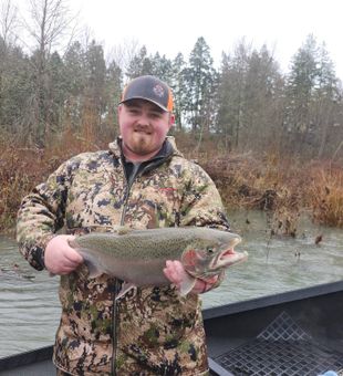 Fresh rainbow trout from Oregon waters.