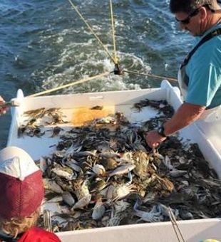 Crabbing fishing in Outer Banks