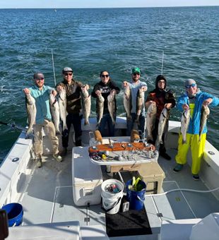 Fun reeling in Bass! Fantastic day in Belmar!