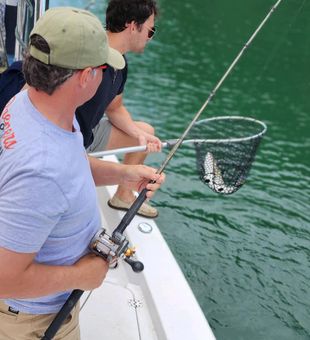Stripers are active and feeding well