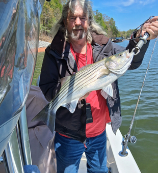 Beautiful striped bass from Cumming GA waters!