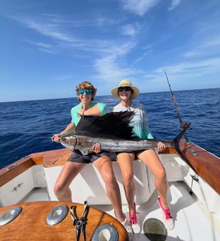 Beautiful Atlantic Sailfish caught in Marathon FL waters!