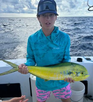 Vibrant mahi-mahi catch offshore