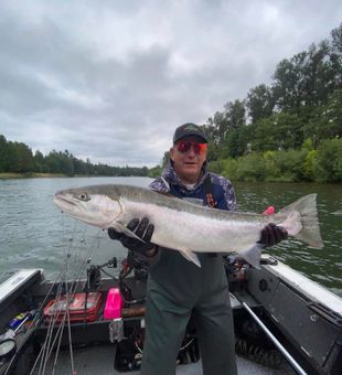 Summer Steelhead in Toledo, WA