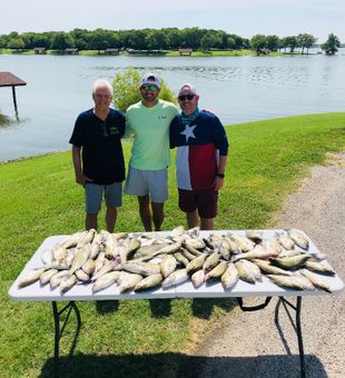 Bass Bonanza: Reeling in a Bounty of Catches!