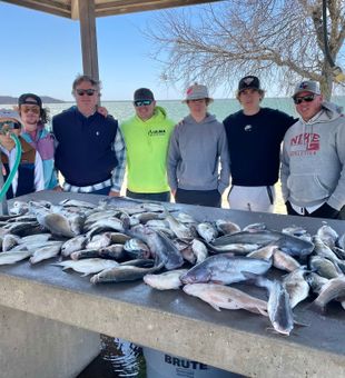 Hooked on Bass: Reeling in the Excitement!