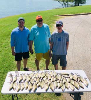 Bass Galore: A Bounty of Fish Caught and Roared!