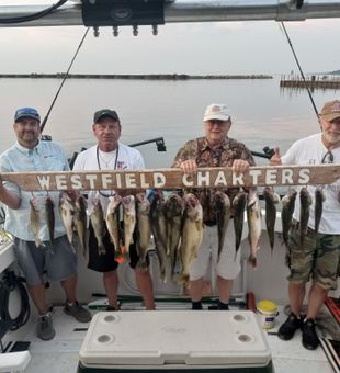 Consistent Lake Erie walleye catch in Barcelona NY