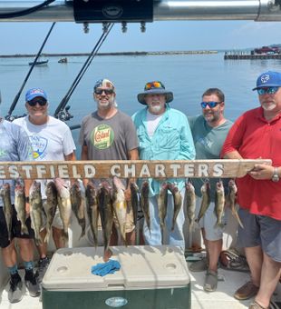 Loaded Lake Erie walleye catch in Barcelona NY