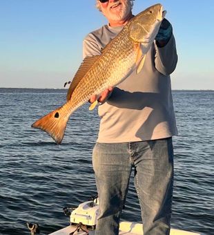 Backwater bliss on the bayou.