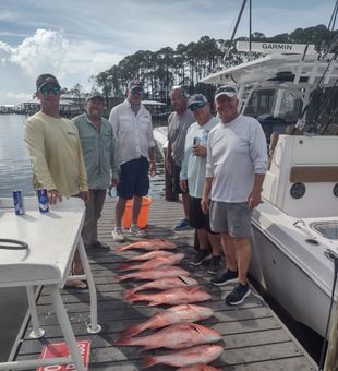 Fresh red snapper lineup