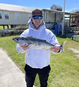 Reel the excitement of Bonito fishing in NC!