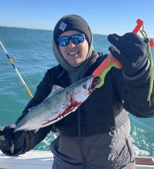 Embark on a Bonito fishing adventure in NC!