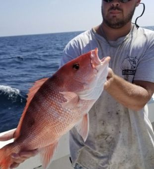 Hook into some Red Snapper action in NC!