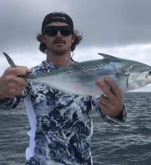 Embark on a Bonito in North Carolina