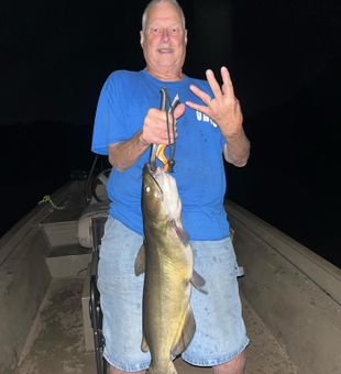 Catfish Night!  - Susquehanna River, PA.