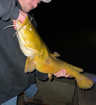 Night Fishing Excitement and Thrill  - Susquehanna River, PA.
