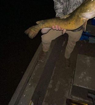 Casting lines and reeling in heavy fish