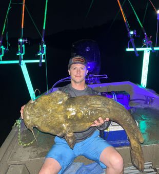 Catfish stacked up on the Susquehanna River