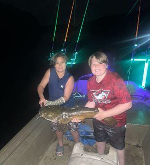 Flathead catfish landed near the rocky bend