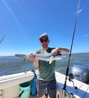 Shark time! - Edisto Beach, SC.