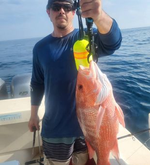 Beautiful red snapper from Edisto Beach waters!