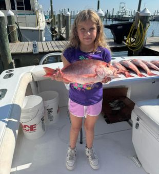 Red Snapper and sunshine 