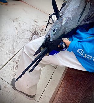 Top West Palm Beach Fishing Charters