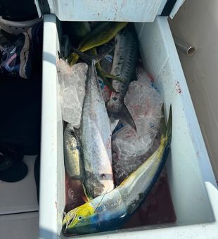 Elite Palm Beach Offshore Fishing