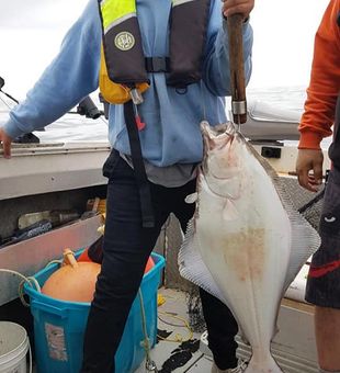 Halibut Havens: BC Delights