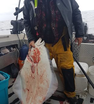 Halibut Haven in Beautiful BC