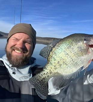 Strong Bull Shoals crappie catch