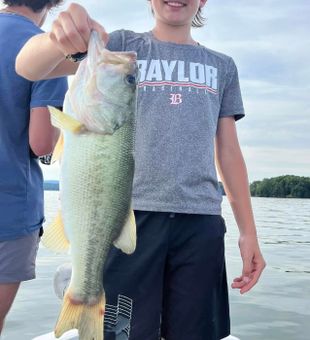 Kid-friendly bass fishing on lakes in TN.