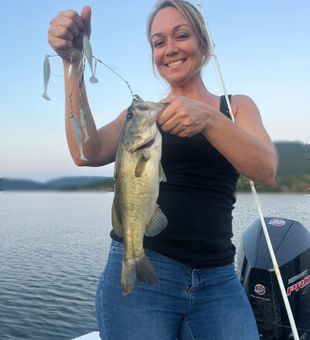 Beautiful view and bass catch on the lake in TN.