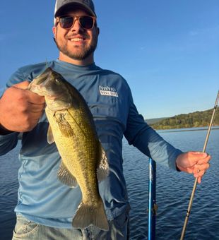 Water like glass this morning.